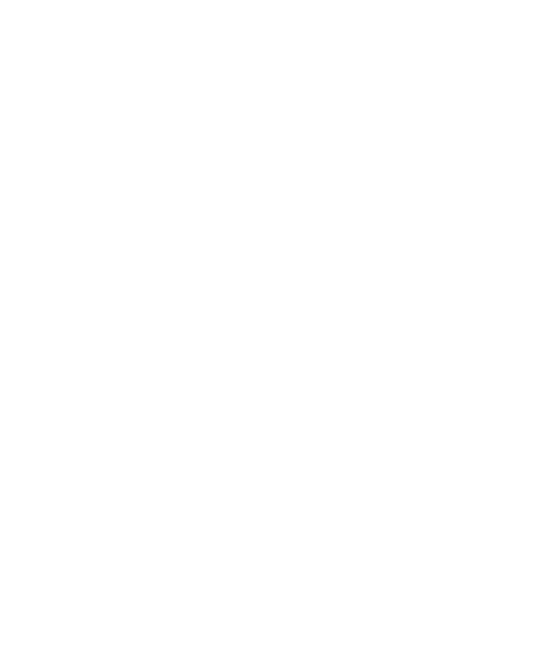 Ceva Global
